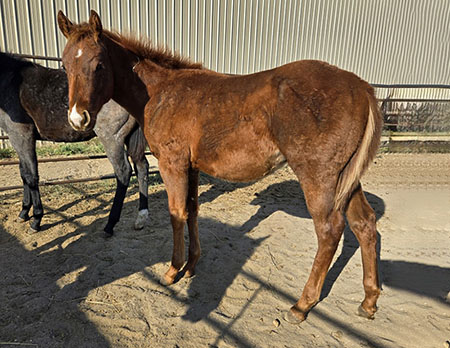 TPH Hustlin NStreakin