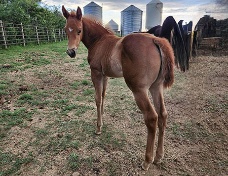 TPH StreakNtoParadise